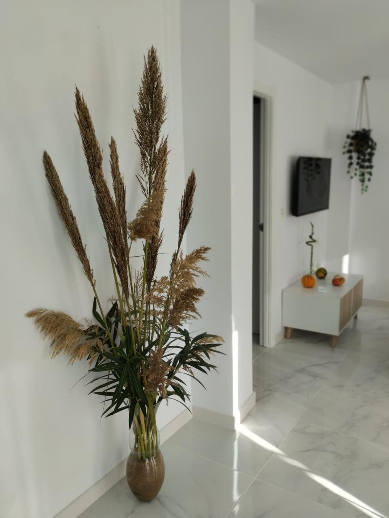 Apartamento Sun Gate Jerez de la Frontera Exteriör bild